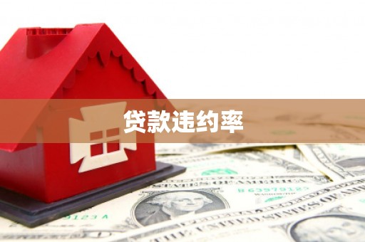 赵县贷款违约率