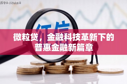 赵县微粒贷，金融科技革新下的普惠金融新篇章