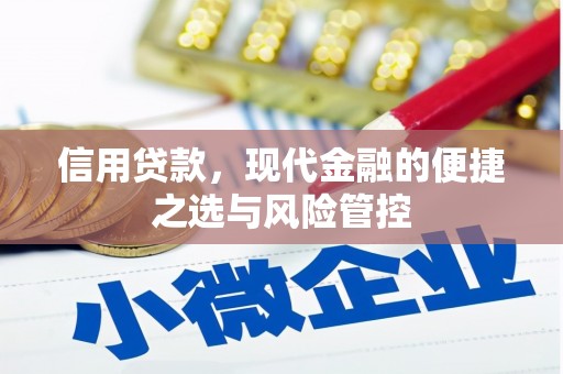 赵县信用贷款，现代金融的便捷之选与风险管控