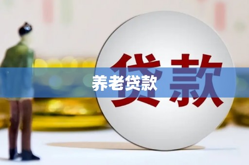 赵县养老贷款