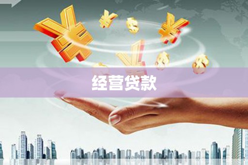 赵县经营贷款