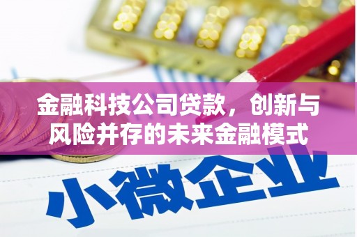 赵县金融科技公司贷款，创新与风险并存的未来金融模式