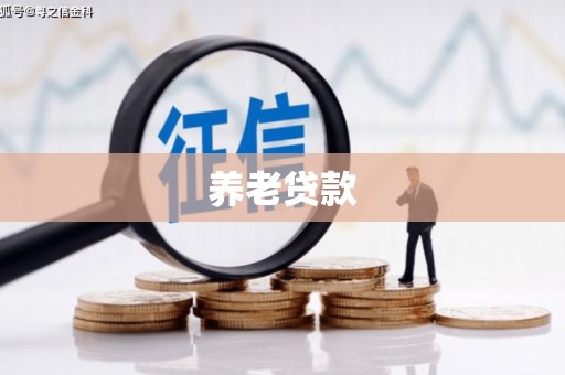赵县养老贷款