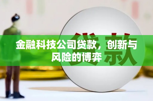 赵县金融科技公司贷款，创新与风险的博弈