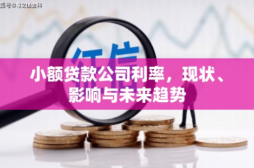 赵县小额贷款公司利率，现状、影响与未来趋势