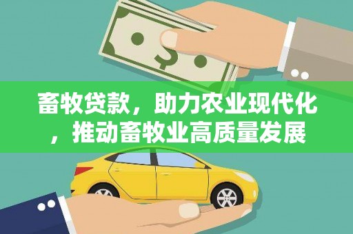 赵县畜牧贷款，助力农业现代化，推动畜牧业高质量发展