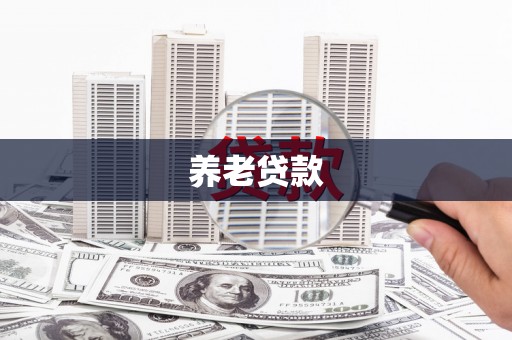 赵县养老贷款