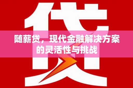 赵县随薪贷，现代金融解决方案的灵活性与挑战