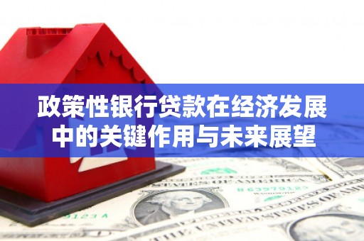 赵县政策性银行贷款在经济发展中的关键作用与未来展望