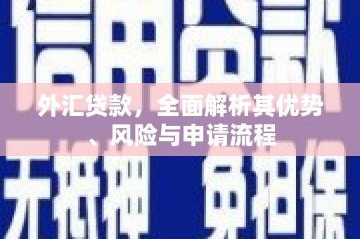 赵县外汇贷款，全面解析其优势、风险与申请流程