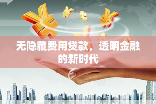 赵县无隐藏费用贷款，透明金融的新时代