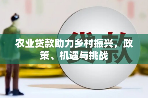 赵县农业贷款助力乡村振兴，政策、机遇与挑战