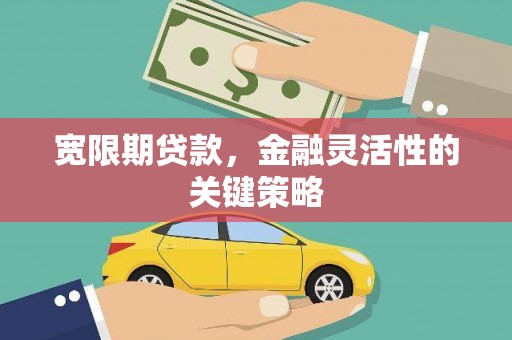 赵县宽限期贷款，金融灵活性的关键策略