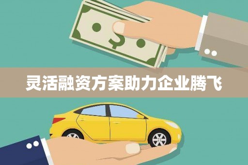 赵县灵活融资方案助力企业腾飞