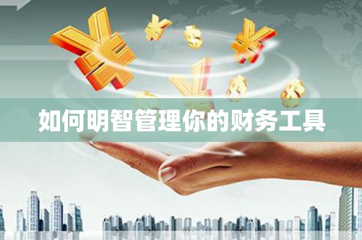 赵县如何明智管理你的财务工具
