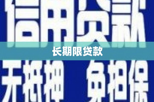 赵县长期限贷款