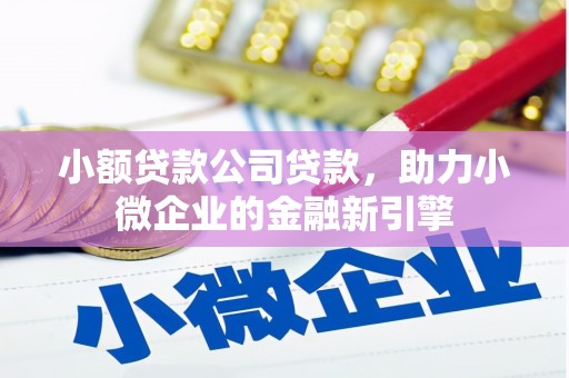赵县小额贷款公司贷款，助力小微企业的金融新引擎
