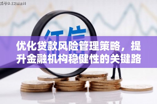 赵县优化贷款风险管理策略，提升金融机构稳健性的关键路径