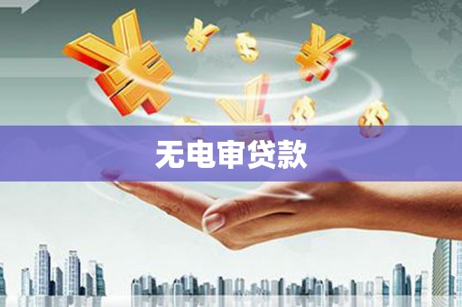 赵县无电审贷款