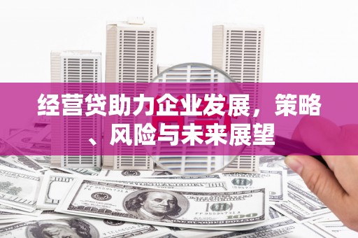 赵县经营贷助力企业发展，策略、风险与未来展望