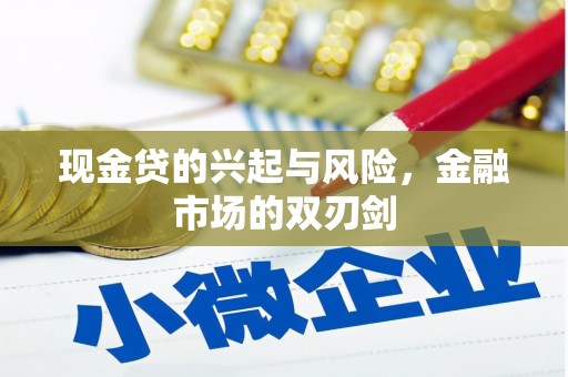 赵县现金贷的兴起与风险，金融市场的双刃剑