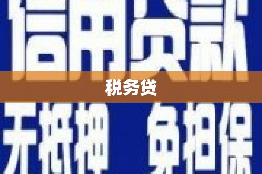 赵县税务贷
