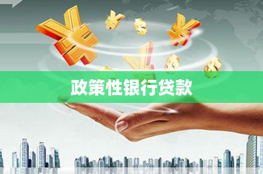 赵县政策性银行贷款