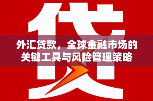 赵县外汇贷款，全球金融市场的关键工具与风险管理策略