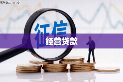赵县经营贷款