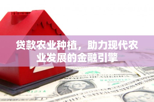 赵县贷款农业种植，助力现代农业发展的金融引擎