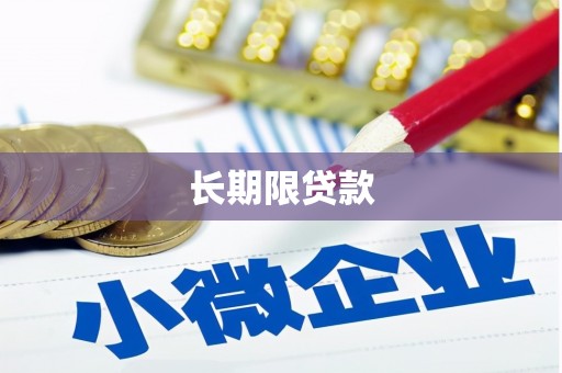 赵县长期限贷款