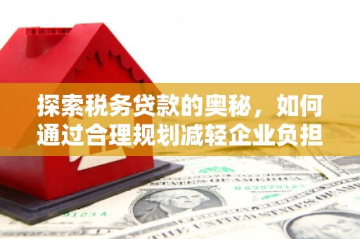赵县探索税务贷款的奥秘，如何通过合理规划减轻企业负担