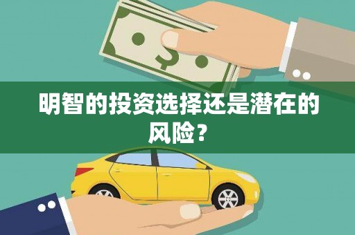 赵县明智的投资选择还是潜在的风险？