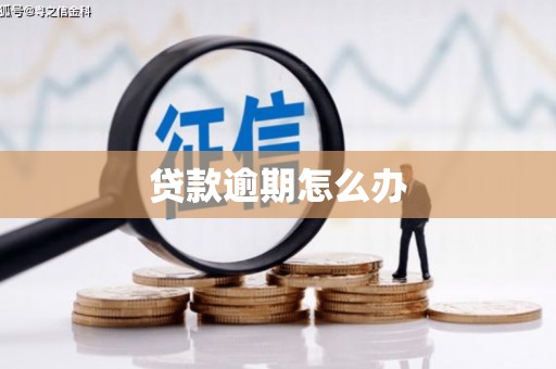 赵县贷款逾期怎么办