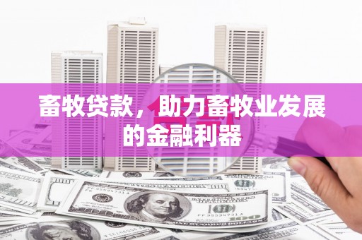 赵县畜牧贷款，助力畜牧业发展的金融利器