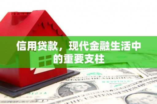 赵县信用贷款，现代金融生活中的重要支柱
