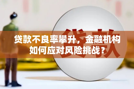 赵县贷款不良率攀升，金融机构如何应对风险挑战？