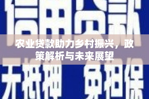赵县农业贷款助力乡村振兴，政策解析与未来展望