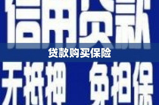 赵县贷款购买保险