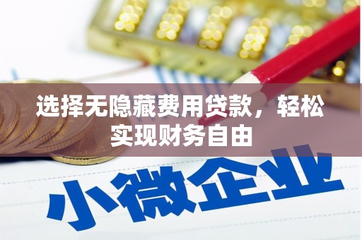 赵县选择无隐藏费用贷款，轻松实现财务自由
