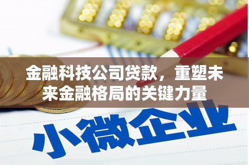 赵县金融科技公司贷款，重塑未来金融格局的关键力量