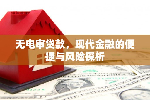 赵县无电审贷款，现代金融的便捷与风险探析