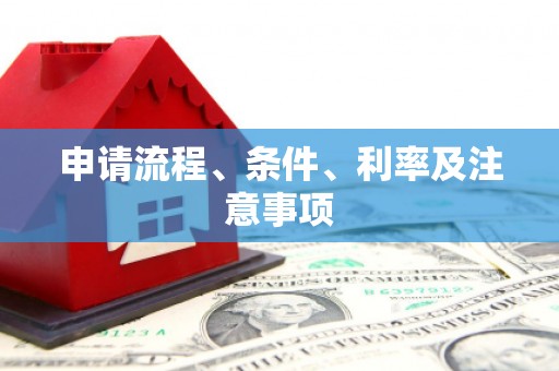 赵县申请流程、条件、利率及注意事项