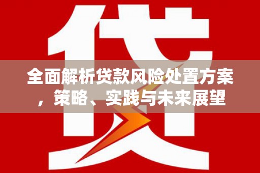 赵县全面解析贷款风险处置方案，策略、实践与未来展望