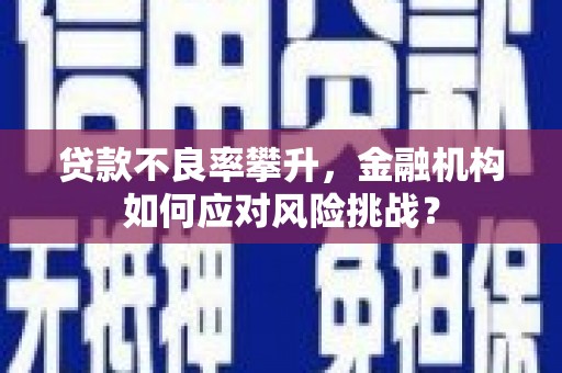 赵县贷款不良率攀升，金融机构如何应对风险挑战？