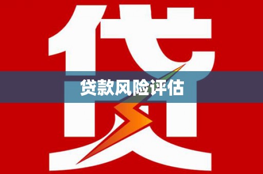 赵县贷款风险评估