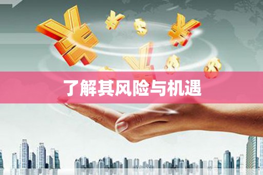 赵县了解其风险与机遇