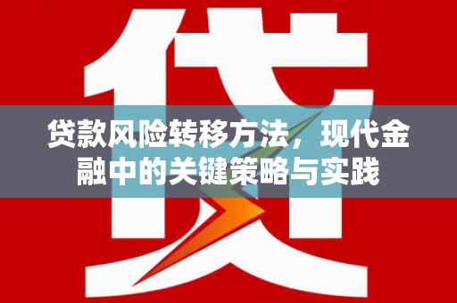 赵县贷款风险转移方法，现代金融中的关键策略与实践