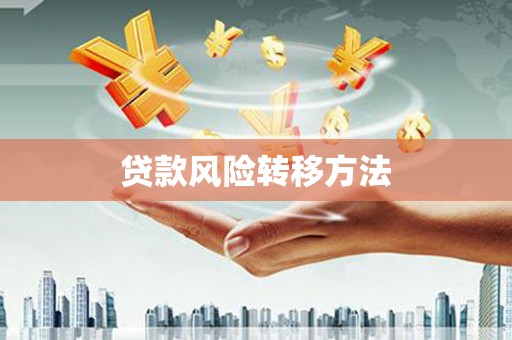 赵县贷款风险转移方法