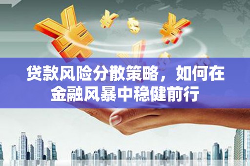 赵县贷款风险分散策略，如何在金融风暴中稳健前行